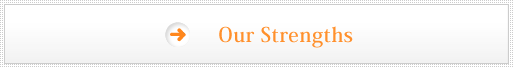Our strengths